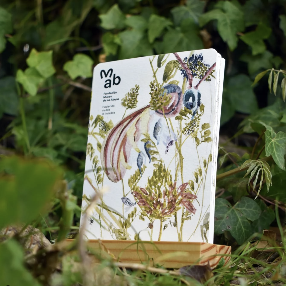 Publicaciones: Creamos contenidos que plasmen nuestro propósito uniendo ciencia y cultura.